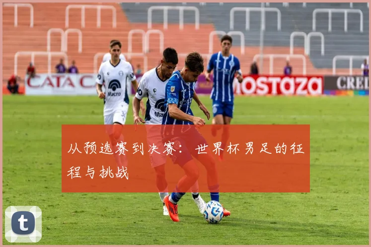 从预选赛到决赛：世界杯男足的征程与挑战