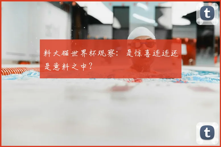 料大猫世界杯观察：是惊喜连连还是意料之中？
