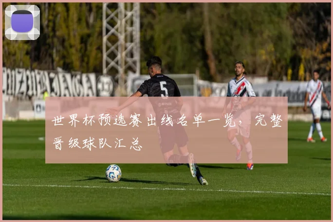 世界杯预选赛出线名单一览,完整晋级球队汇总