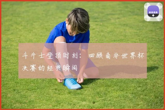 斗牛士登顶时刻：回顾南非世界杯决赛的经典瞬间