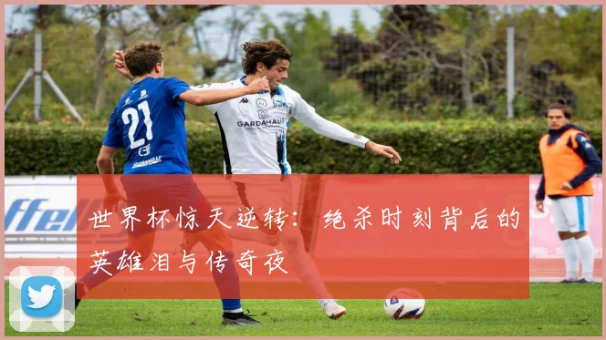 世界杯惊天逆转：绝杀时刻背后的英雄泪与传奇夜