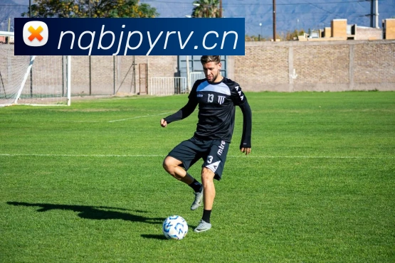 星空体育(中国)官方网站APP 封面图